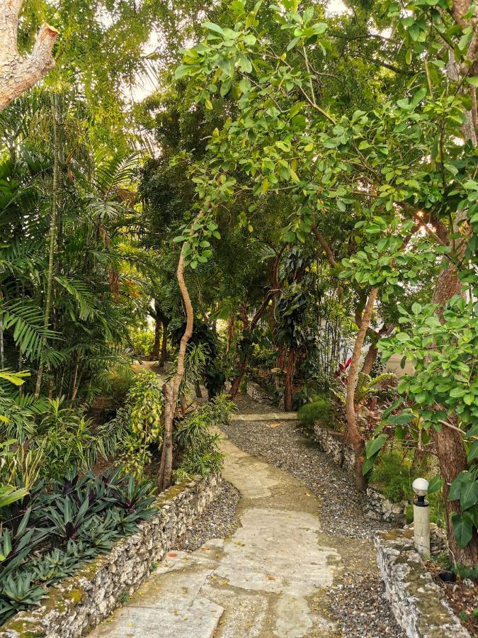 Marcosas Cottages Resort Moalboal Exterior photo