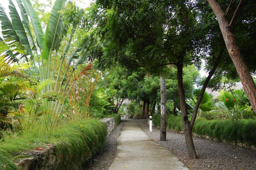 Marcosas Cottages Resort Moalboal Exterior photo
